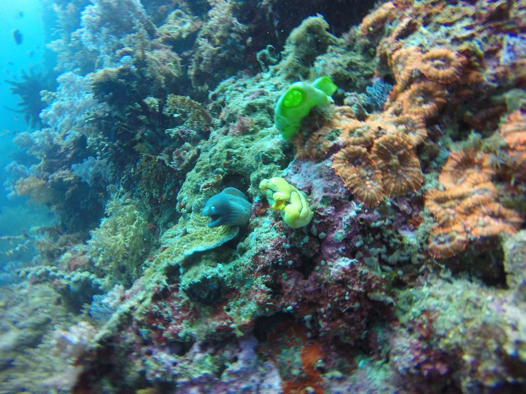 Coco White Beach Resort Bohol Buitenkant foto
